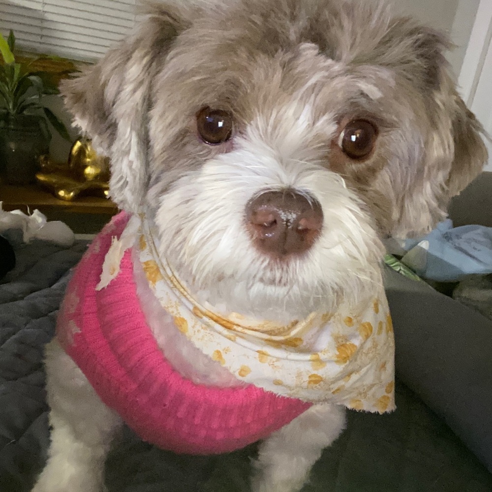 Meet your Posher, Katie